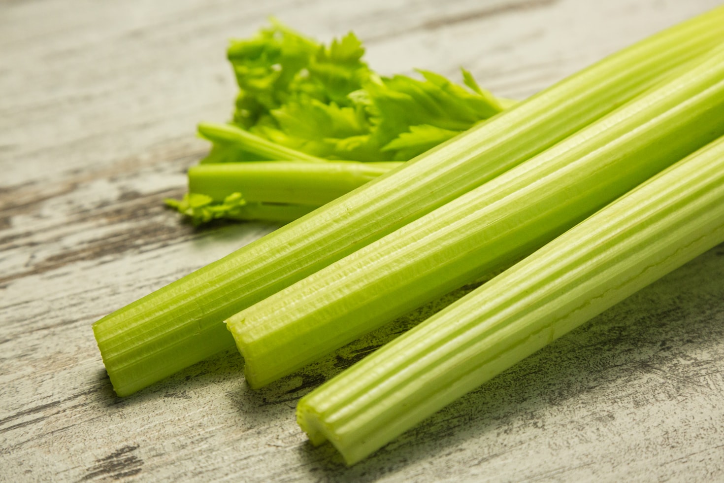 Can Dogs Eat Celery?