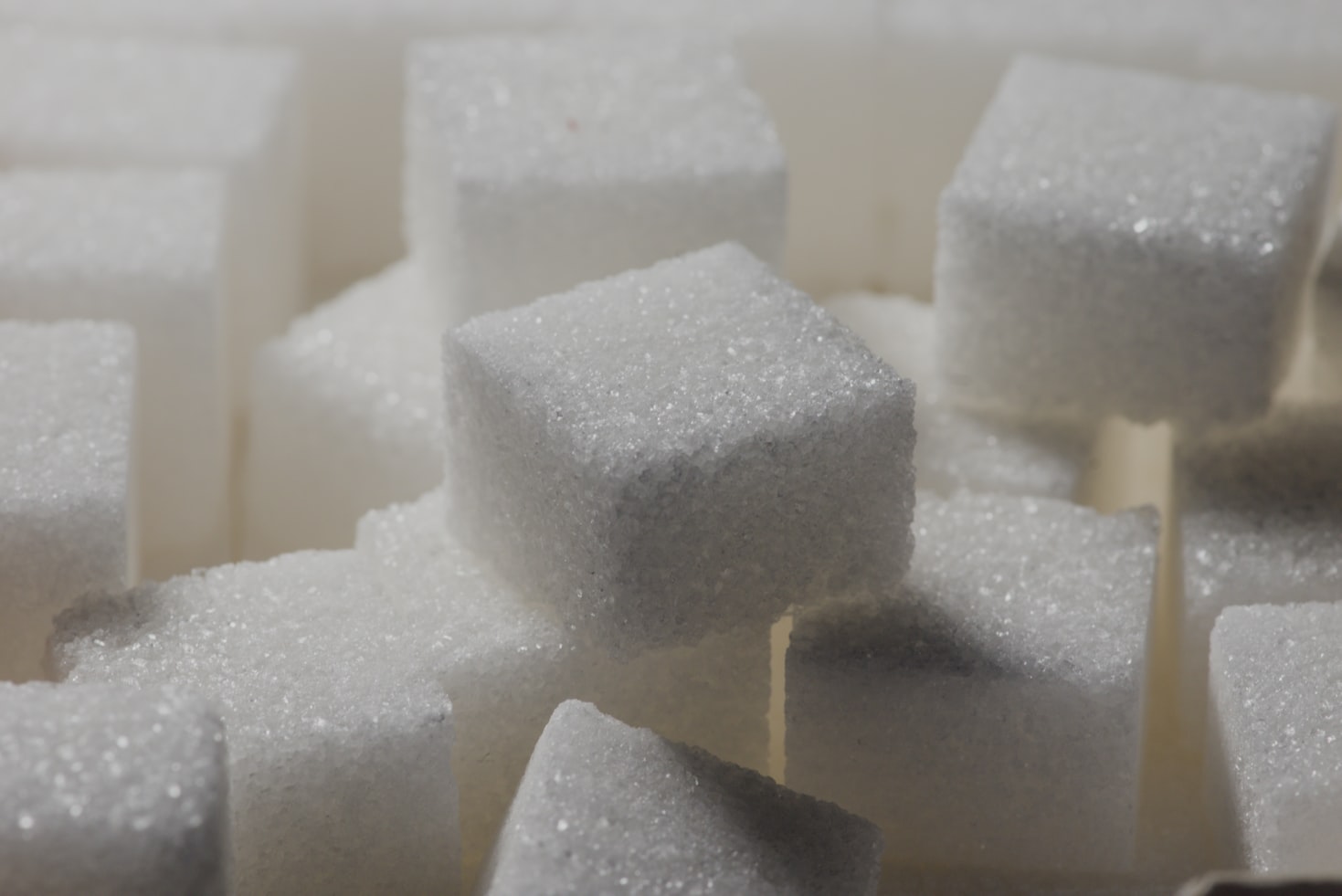 Can Dogs Eat Sugar?