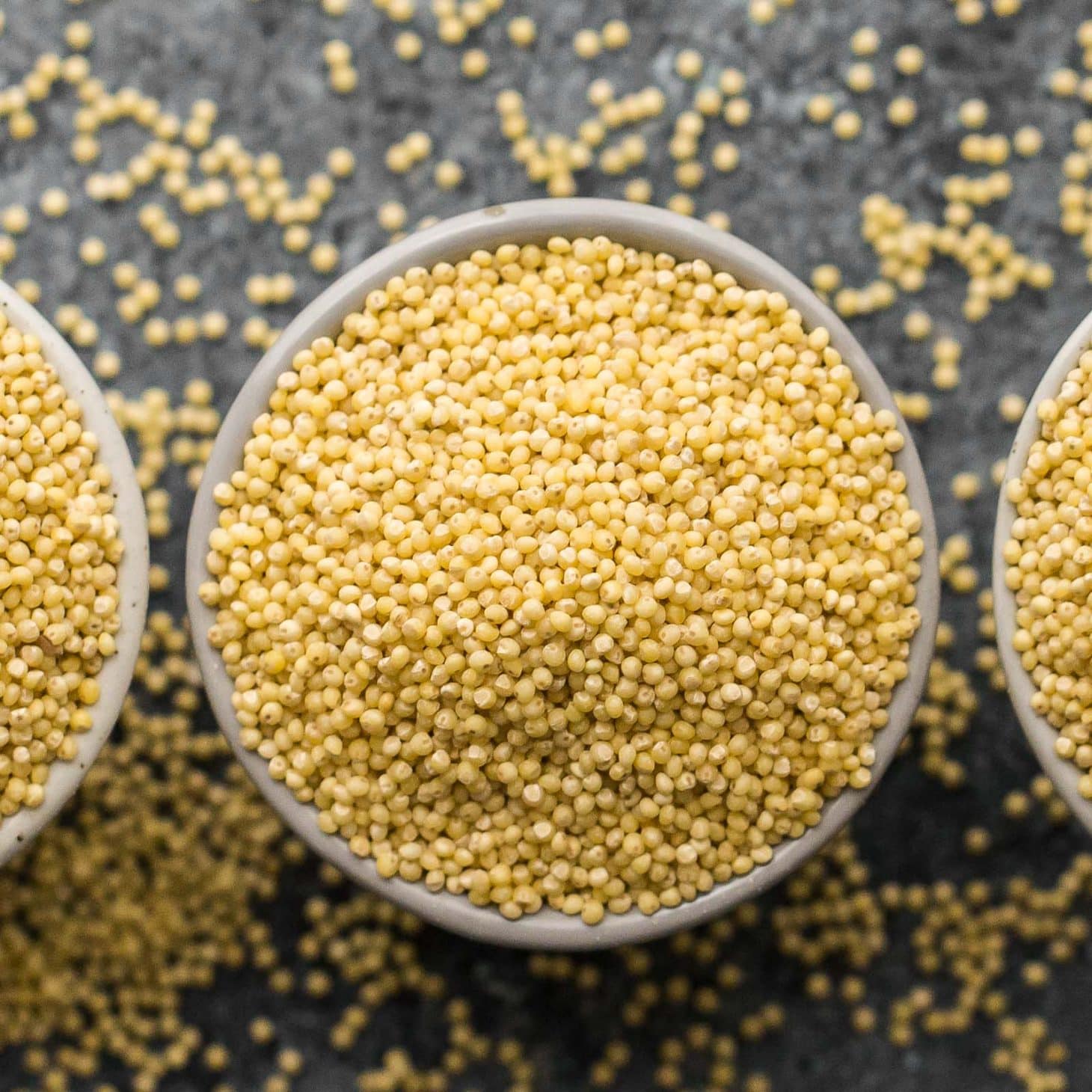 Can Dogs Eat Millet?