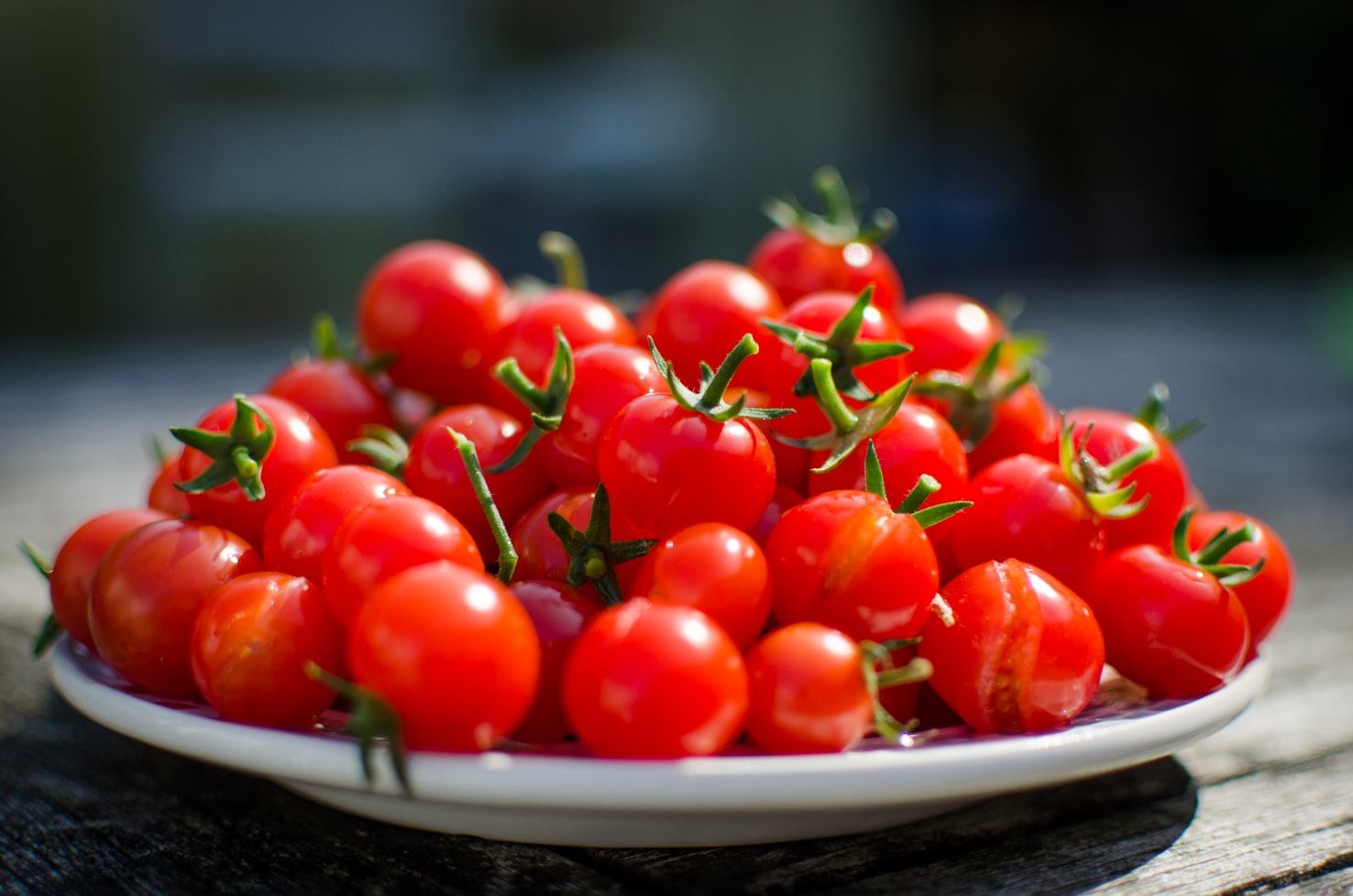 Can Dogs Eat Cherry Tomatoes?