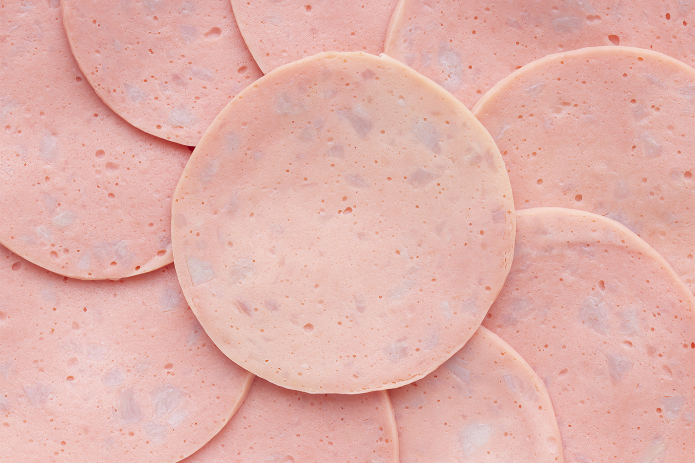 Can Dogs Eat Bologna?