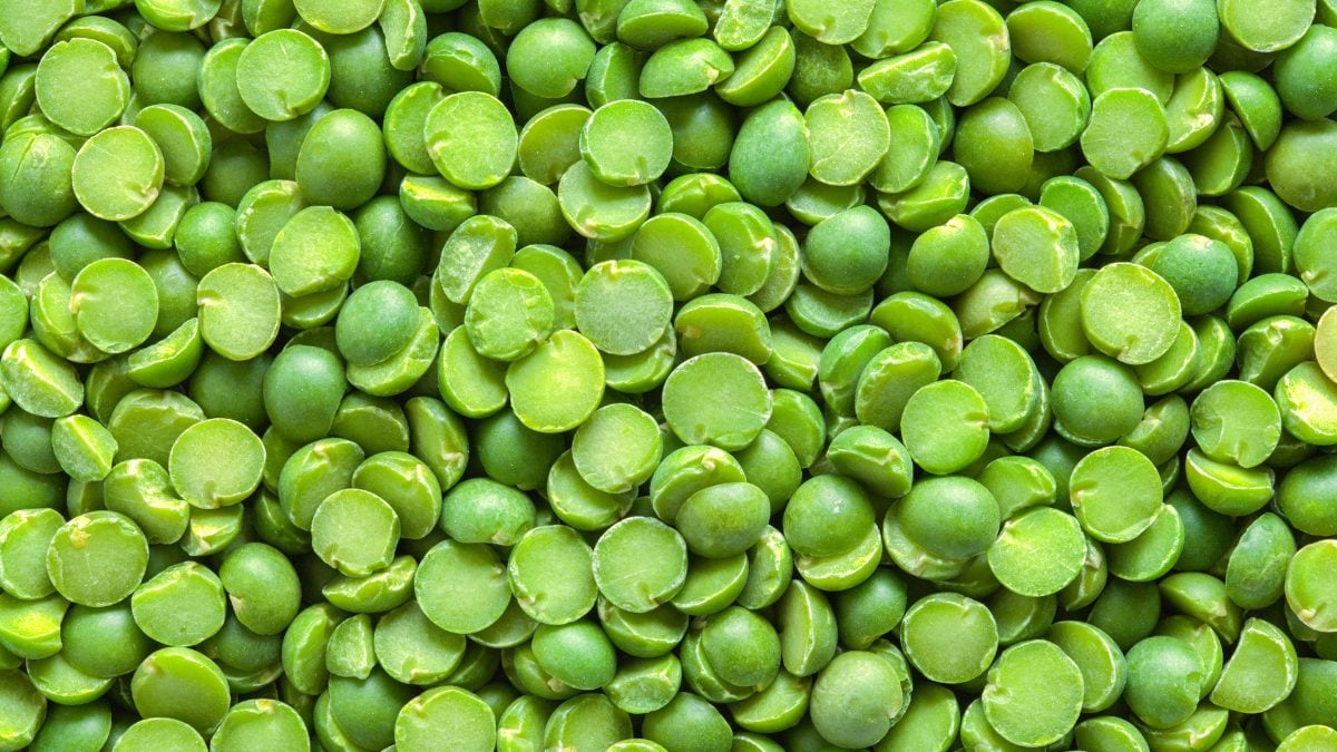 Can Dogs Eat Split peas?