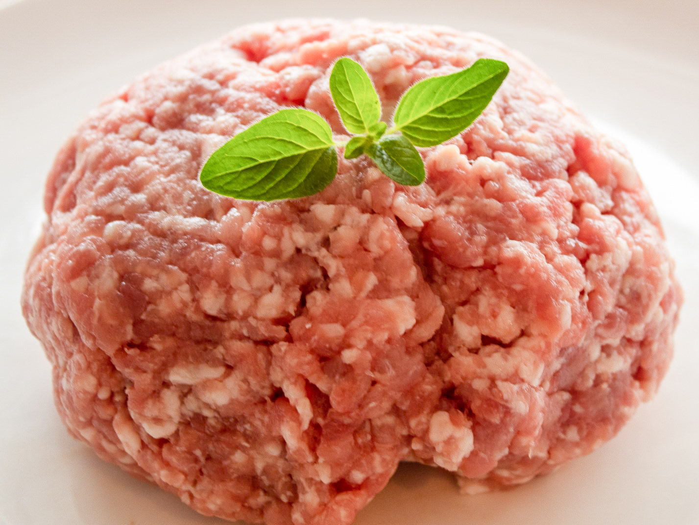 Can Dogs Eat Pork Mince?
