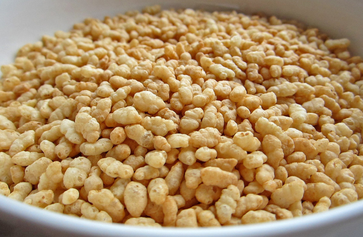 Can Dogs Eat Rice Bubbles?