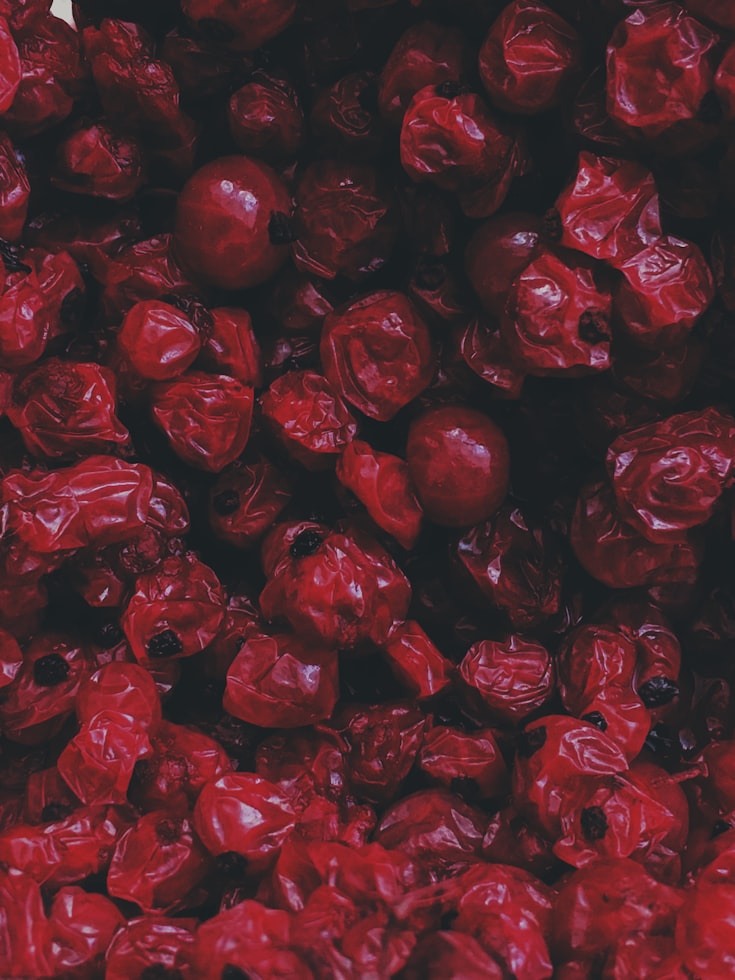 Can Dogs Eat Dried Cranberries?