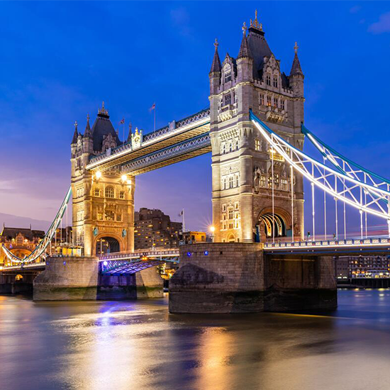 Professional Investors