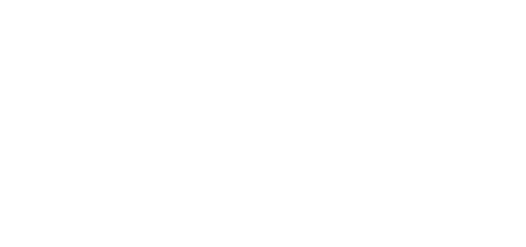 Logo van Visser met gestileerde visvorm links van de tekst.