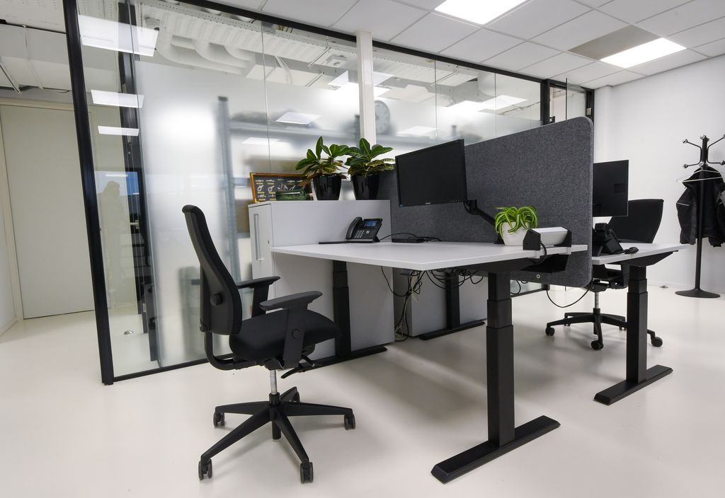 Moderne kantoorruimte met verstelbare bureaus, zwarte bureaustoelen en potplanten op het bureau.