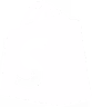 Shopify Plus Agency Logo