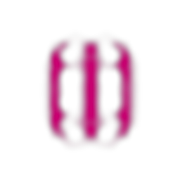 Anima Iris logo