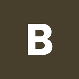 Bailey Nelson logo