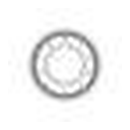 Chris Collins logo