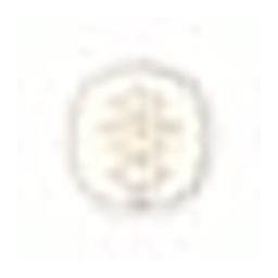 Oakcha logo