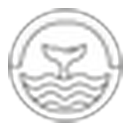 Tide + Seek logo