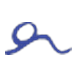 SEEA logo