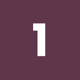111SKIN logo