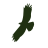 Eagle Creek logo