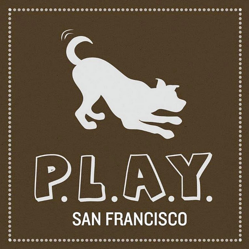 Play Pet Brands logo