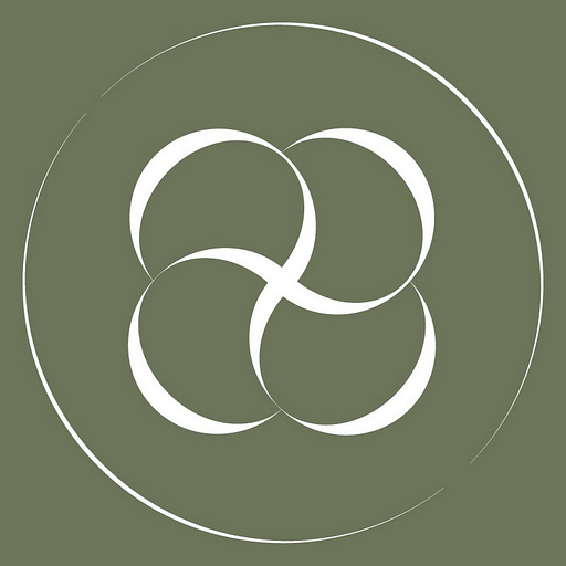Berlook logo