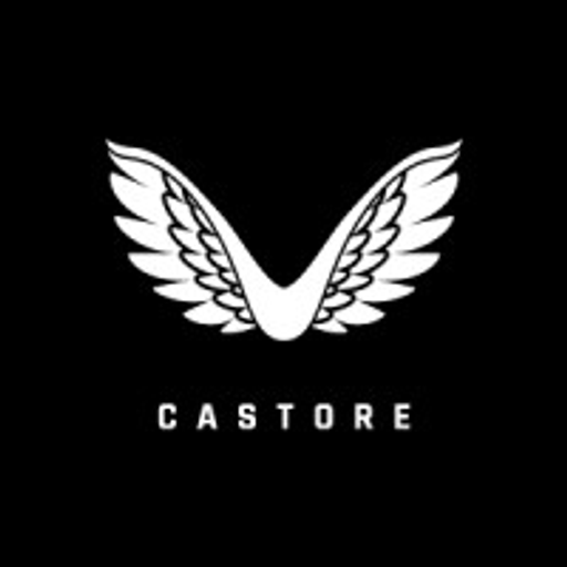 Castore logo