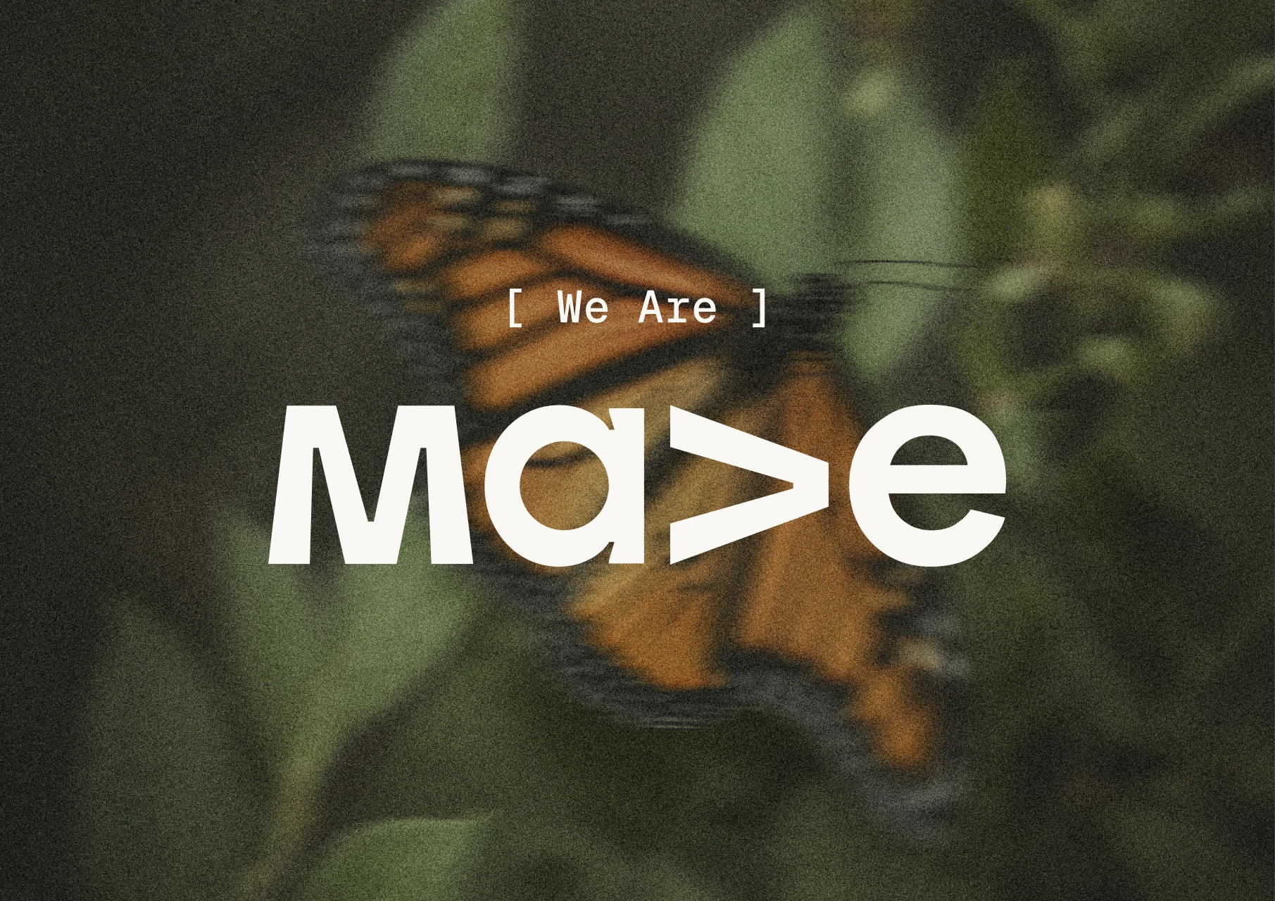 We are Mave, over a butterfly in flight