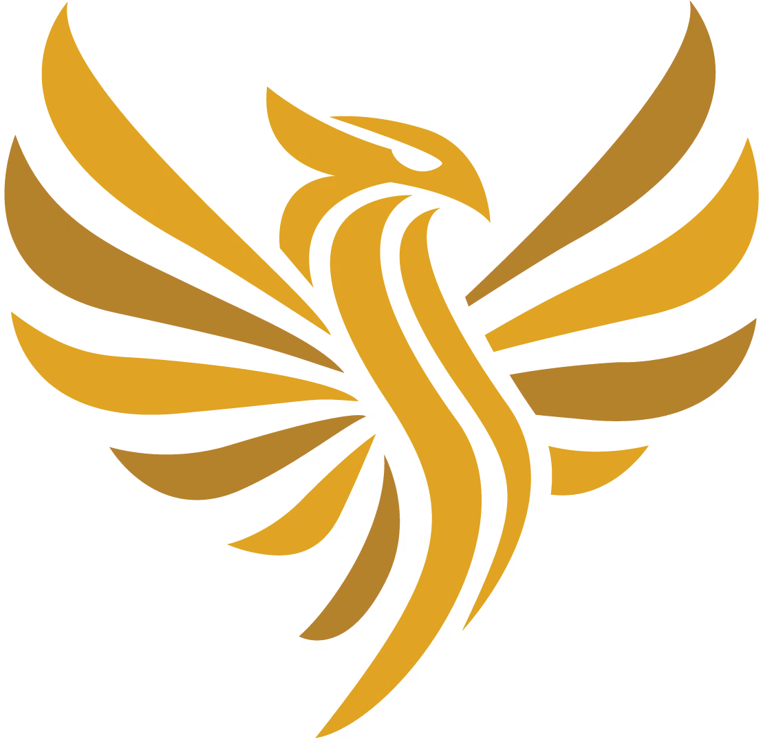 Nexvo Solution's phoenix logo
