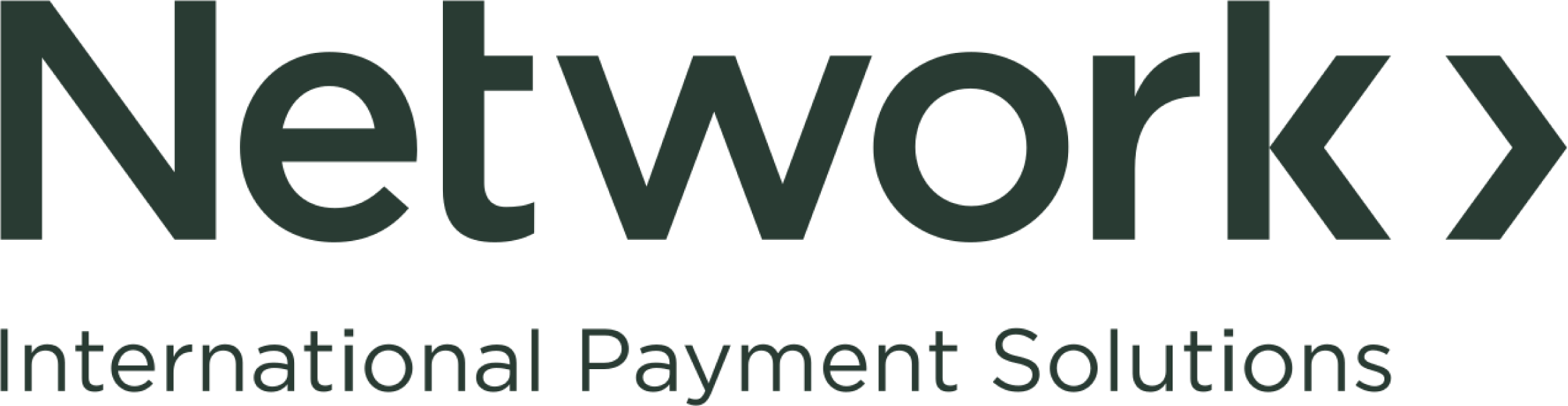 Network International Payment Solutions corporate logo