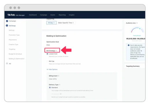 TikTok Ads Manager