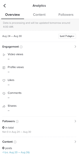 Analytics, tiktok marketing in 2022