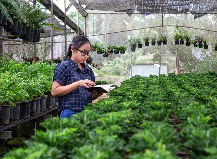 Beginner’s Guide to Starting an Organic Farm.