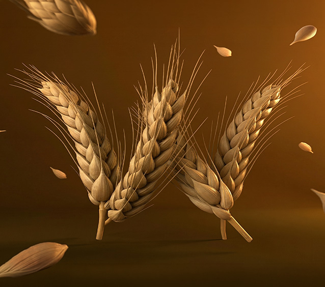 From Traditional Milling to Precision Milling — Why Boota Brothers Shifted to Alpha Technology