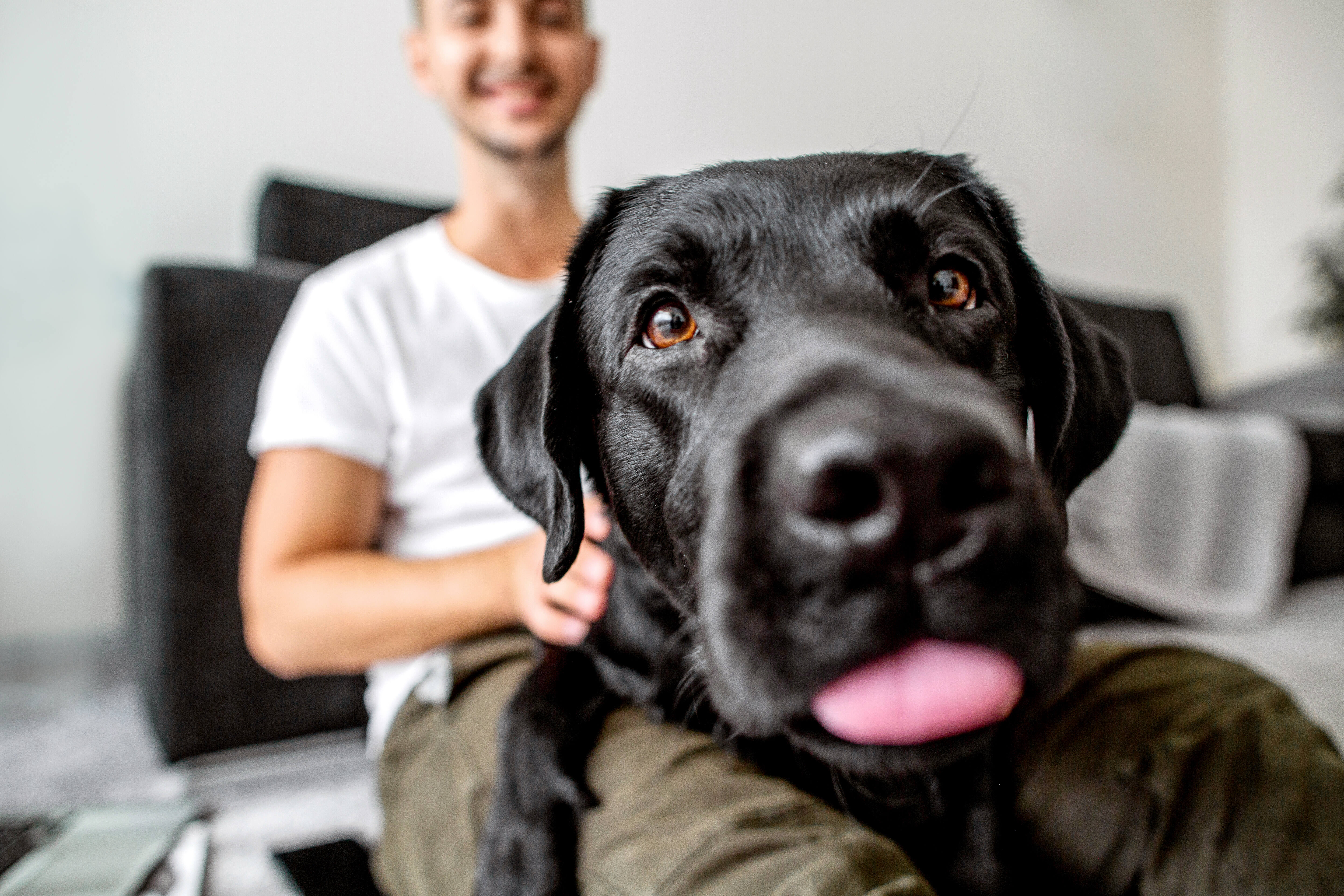 man with dog stock image