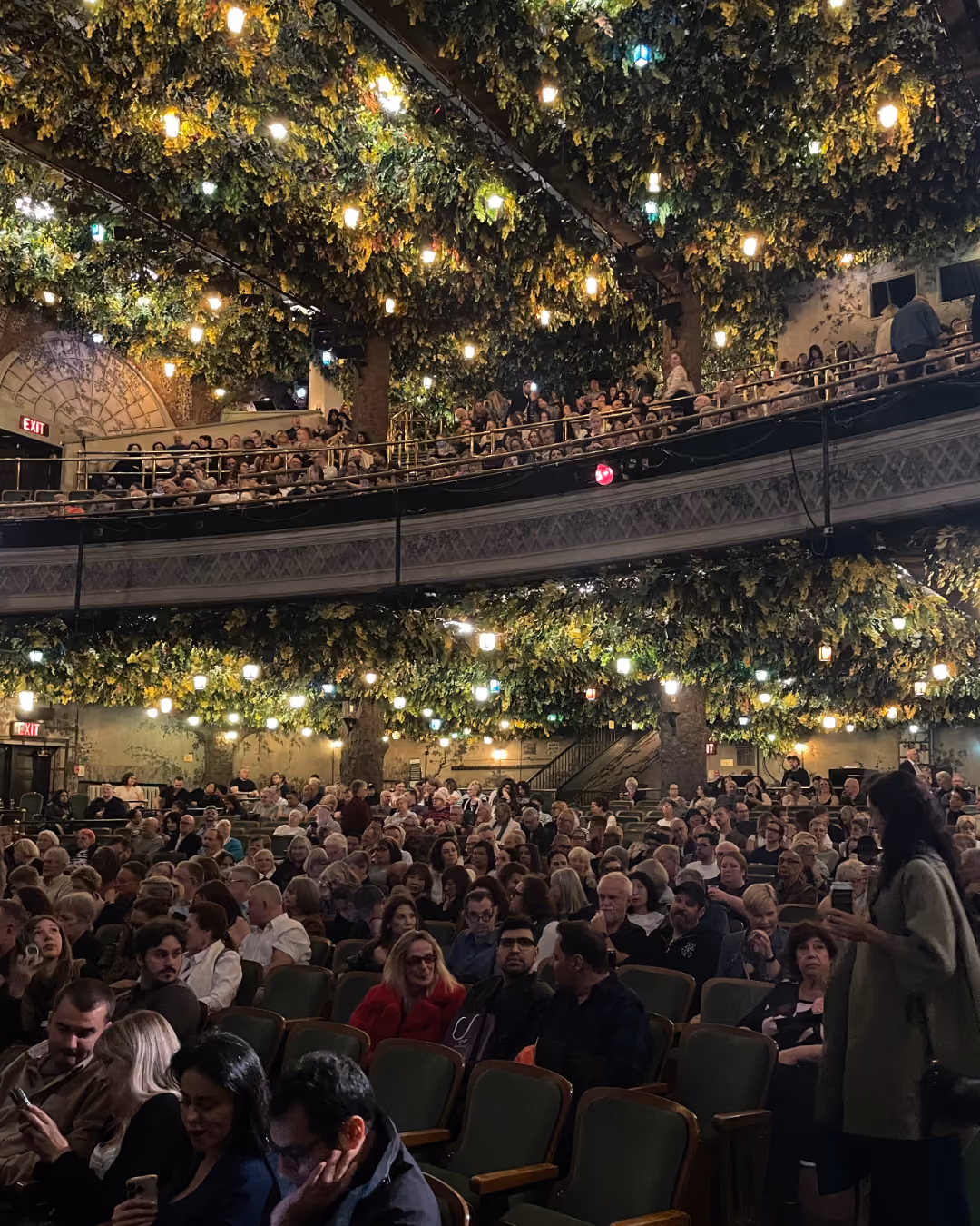 Indoor theater filled with seated audience members watching an event, featuring lush greenery and string lights decorating the ceiling and balcony.