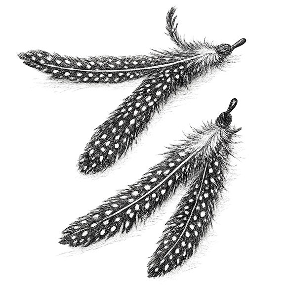 Feathers