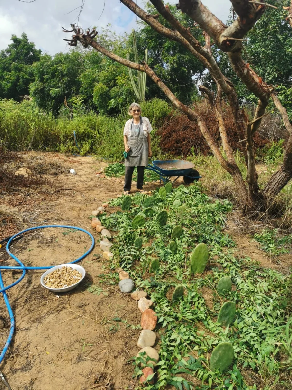 Marsha nos canteiros agroflorestais — Jardins Marizá
