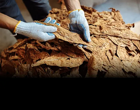 A man is working on a piece of wood.