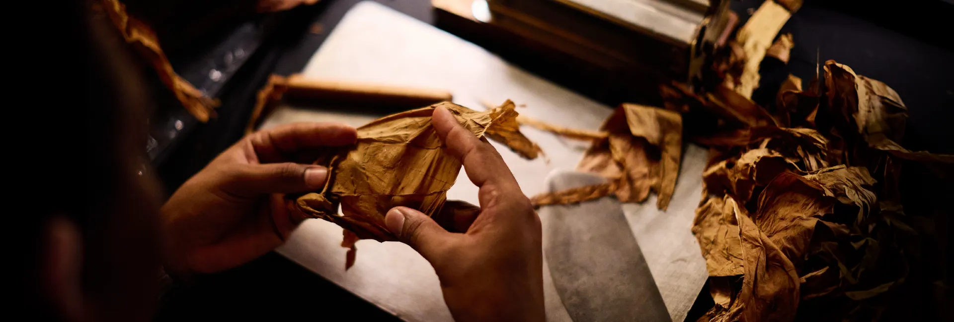 A person is holding a piece of wood.