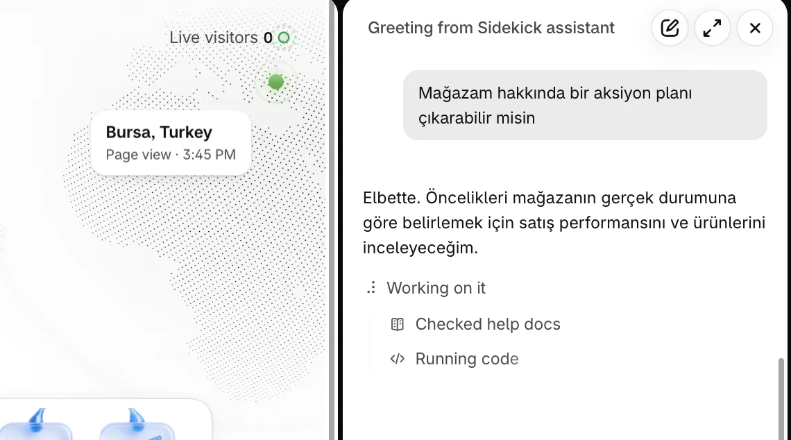Sidekick'e Türkçe komut verilebilir: "Mağazam hakkında bir aksiyon planı çıkarabilir misin?" sorusunda Sidekick önce satış performansını ve ürünleri inceler, yardım dokümanlarını tarar, sonra öncelikleri sıralar