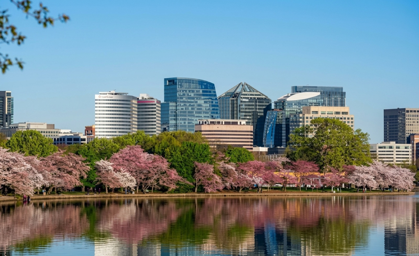 Rosslyn skyline in Arlington, Virginia across the Potomac with cherry blossoms