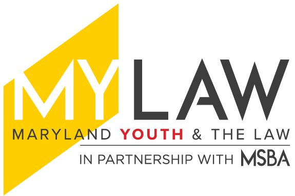 Law Links Internship