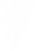 Litify Icon
