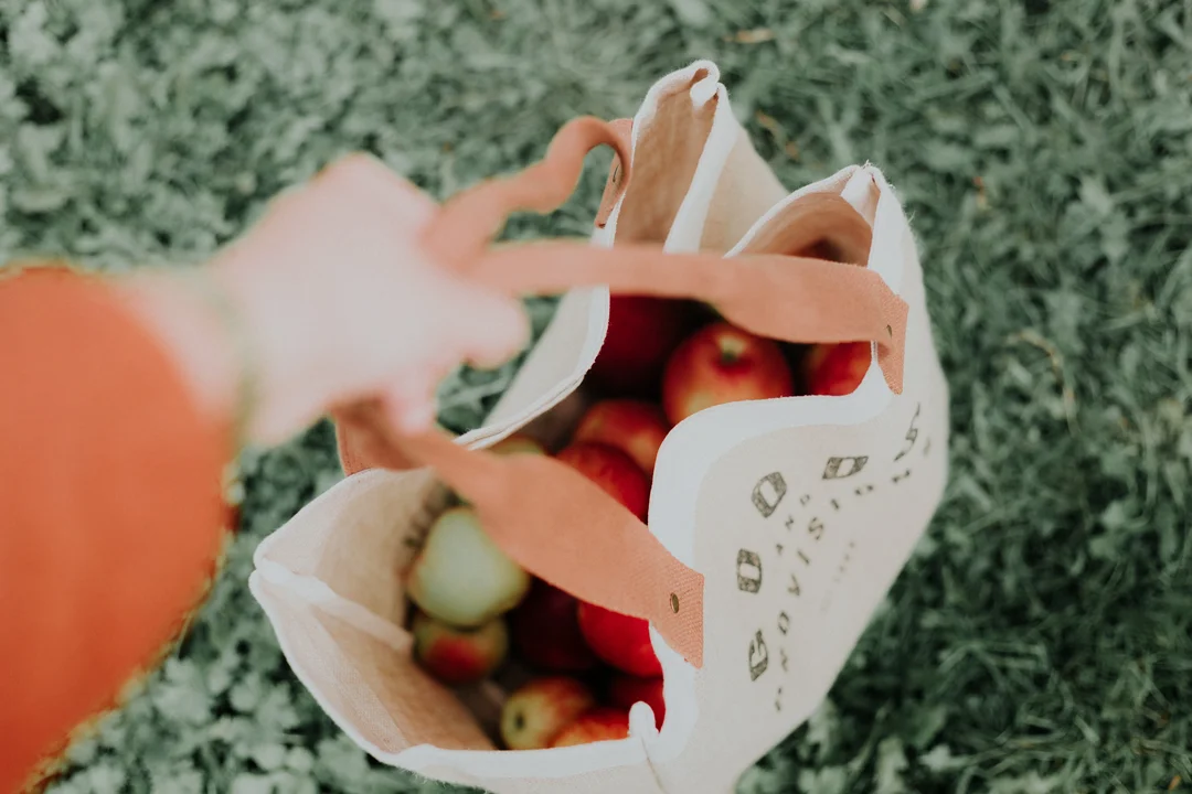 A Health and Wellness Retailer hired a remote Virtual Shopify Admin Assistant