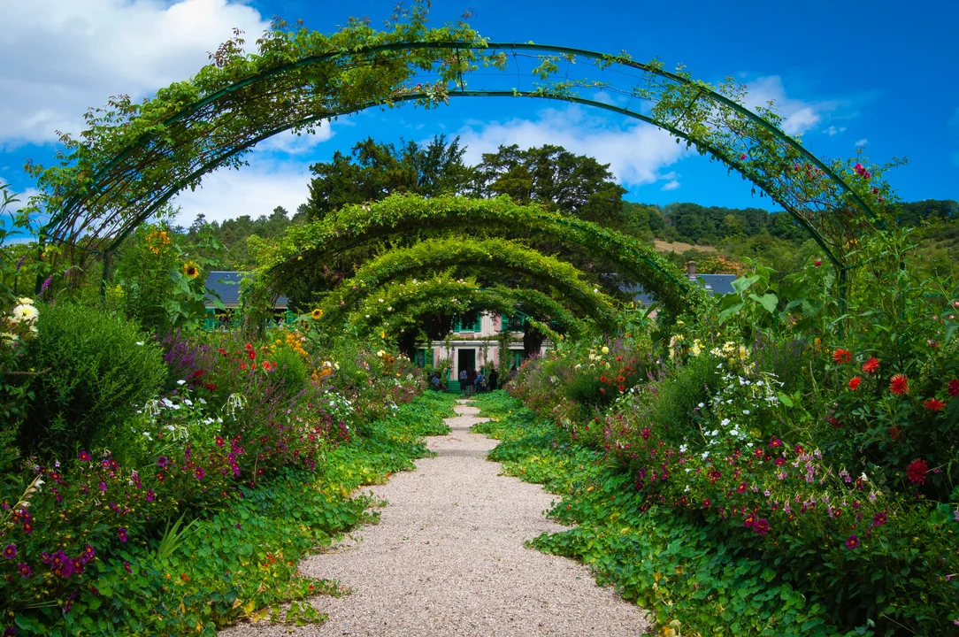 A Landscape Designing Firm hired a remote Virtual Assistant