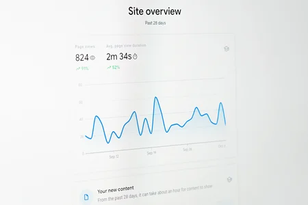 A Marketing and Analytics Solution Company hired a remote Customer Support Executive