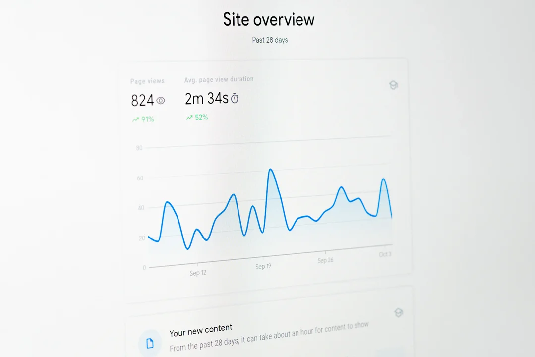 A Marketing and Analytics Solution Company hired a remote Customer Support Executive