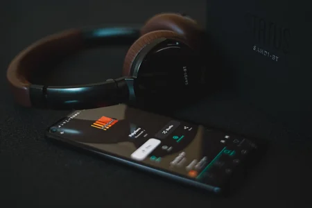A Music Distribution Platform hired a remote Customer Support Representative