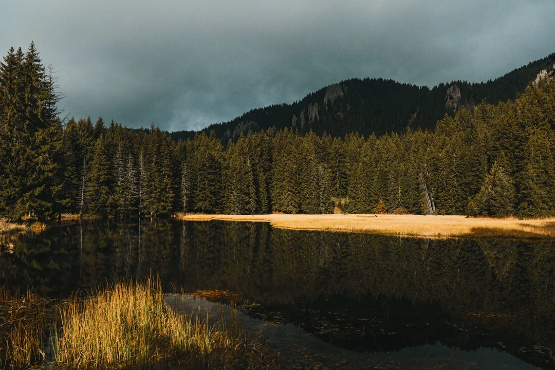 A Nature-Focused Travel Agency hired a remote Operations Specialist
