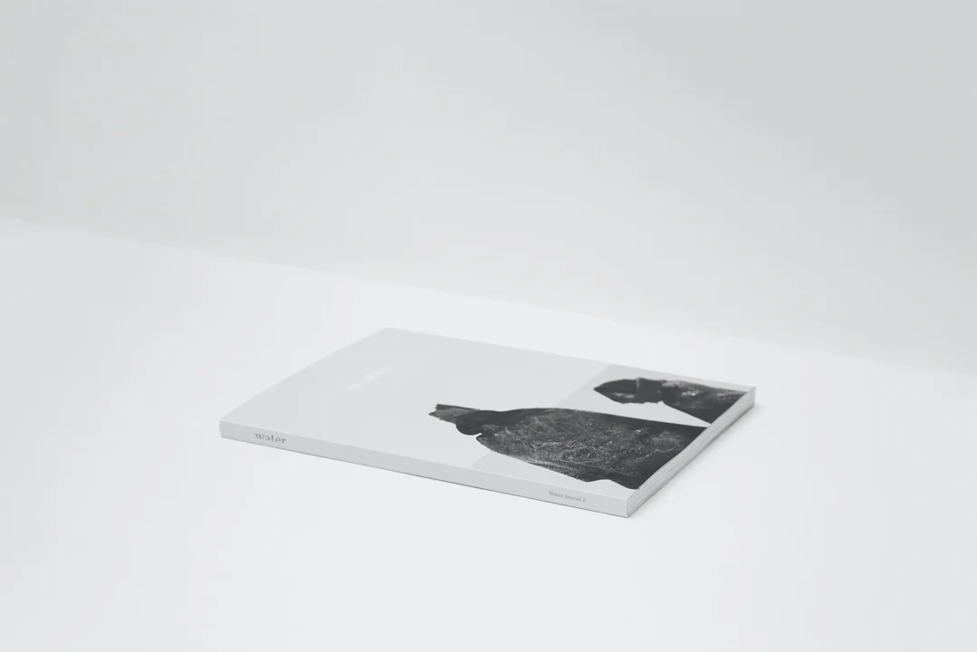 A Publishing Company hired a remote Book Layout Artist