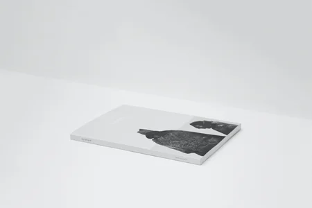 A Publishing Company hired a remote Book Layout Artist