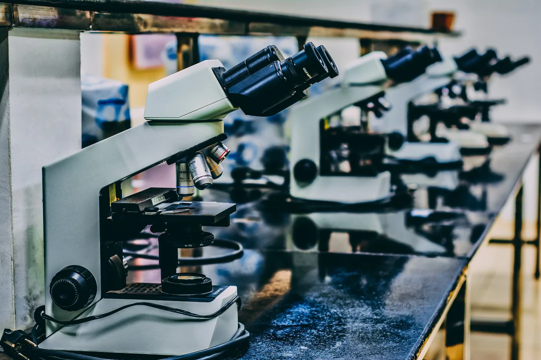 A Testing Laboratory hired a remote Executive Assistant